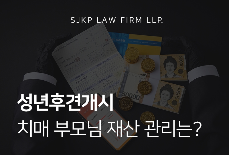 성년후견개시