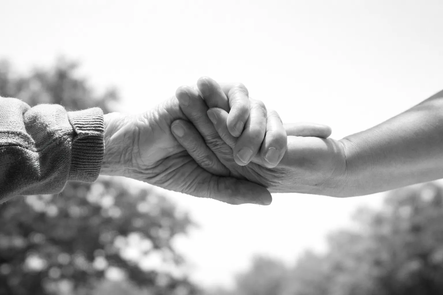 성년후견인비용 | 정신감정 및 가사조사 단계의 지출