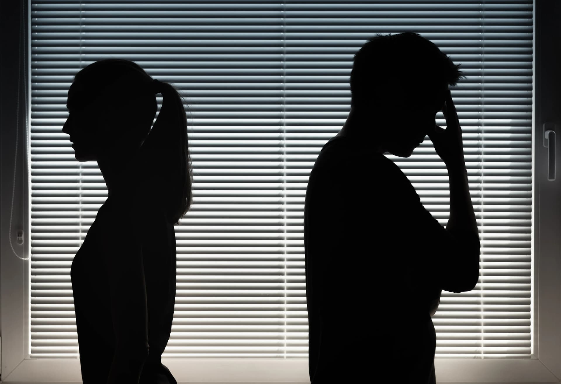 대륜 천안가사전문변호사 양육비미지급 가사소송 업무사례